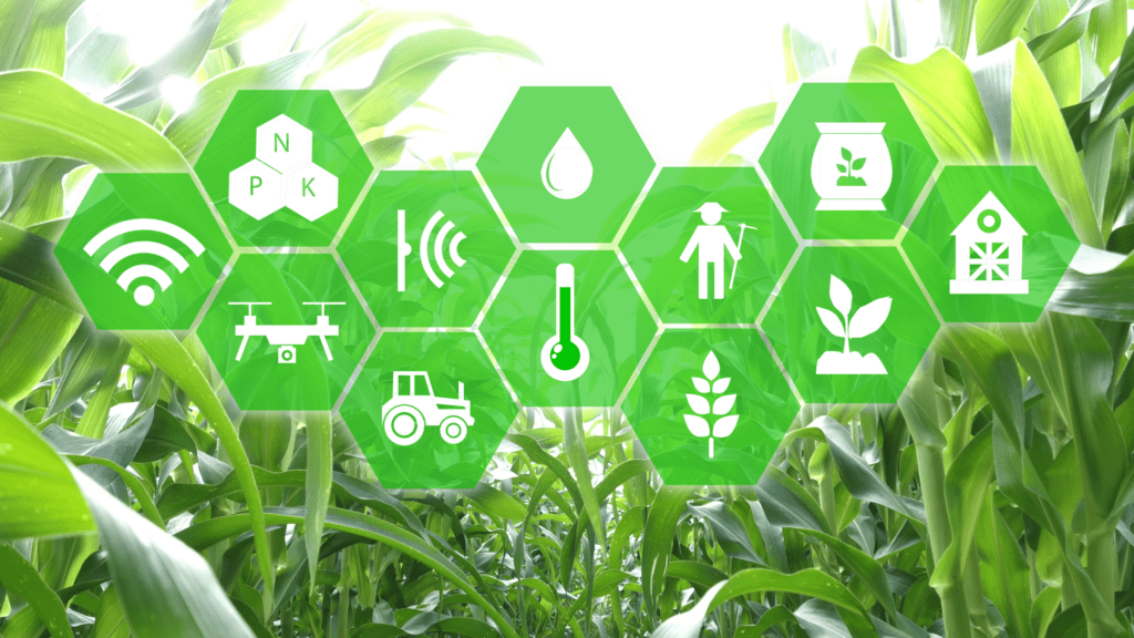 AI in Indian Agriculture