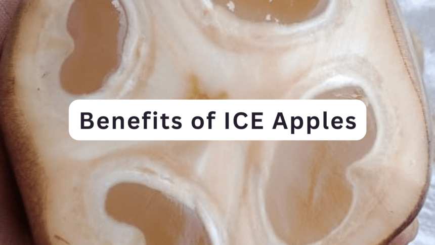 benefits of ice apples