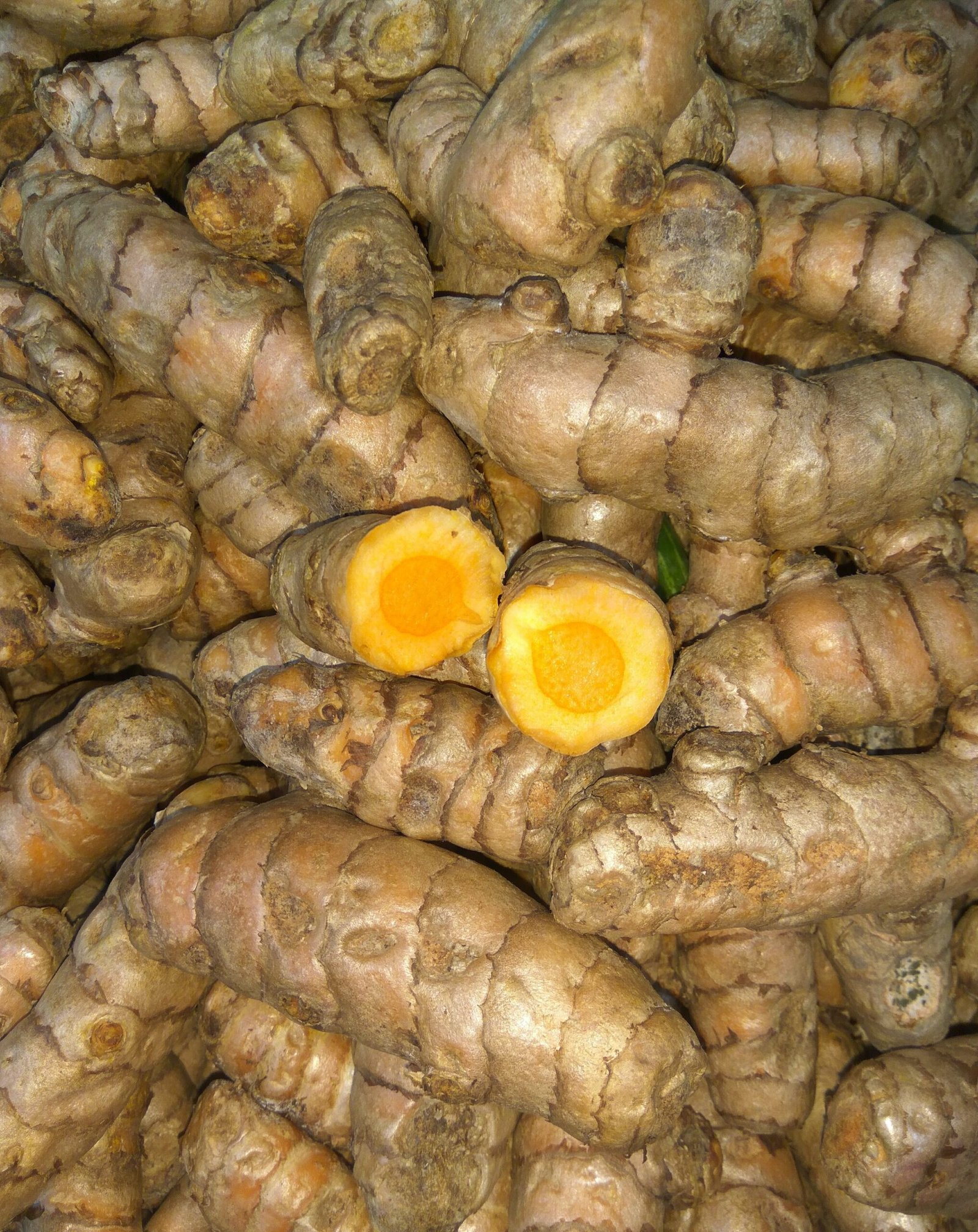 Organic Turmeric 1 scaled