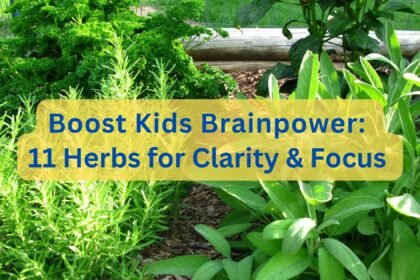 Herbs for mental clarity